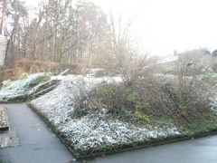 Grundstück Grundstück